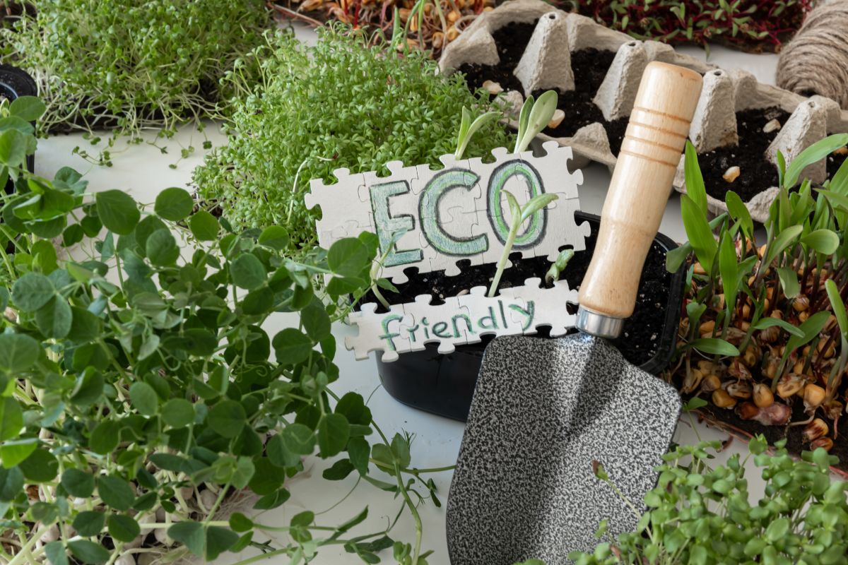 eco planting
